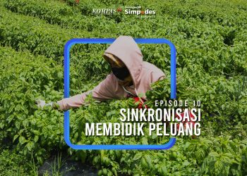 Petualangan BRILIAN Episode 10 : Sinkronisasi Membidik Peluang