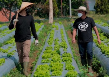 Sinkronisasi Membidik Peluang