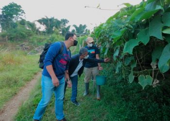 Meretas Kreativitas Usaha